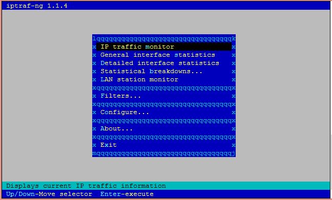 Screenshot iptraf-ng 1.jpg