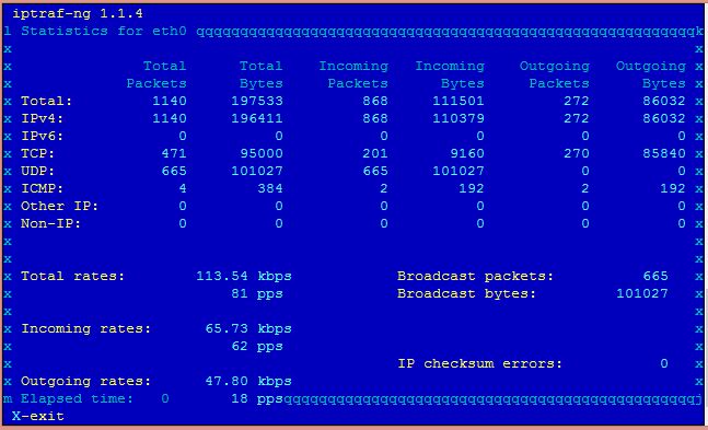 Screenshot iptraf-ng 2.jpg