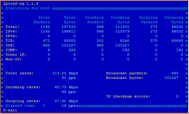 Screenshot iptraf-ng 2.jpg